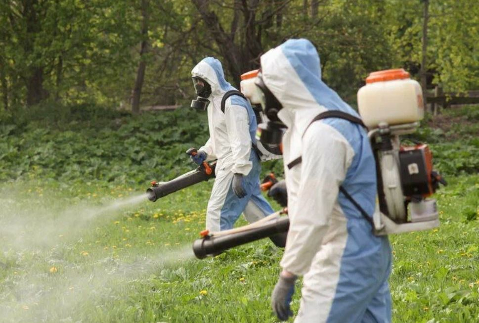 ФОТО Уничтожение клопов в Колпино