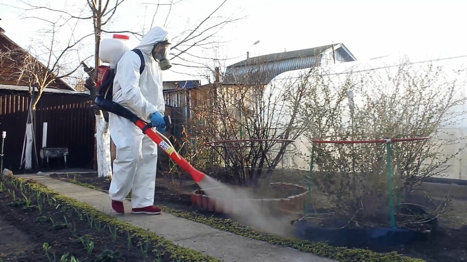 ФОТО Уничтожение муравьёв в Колпино