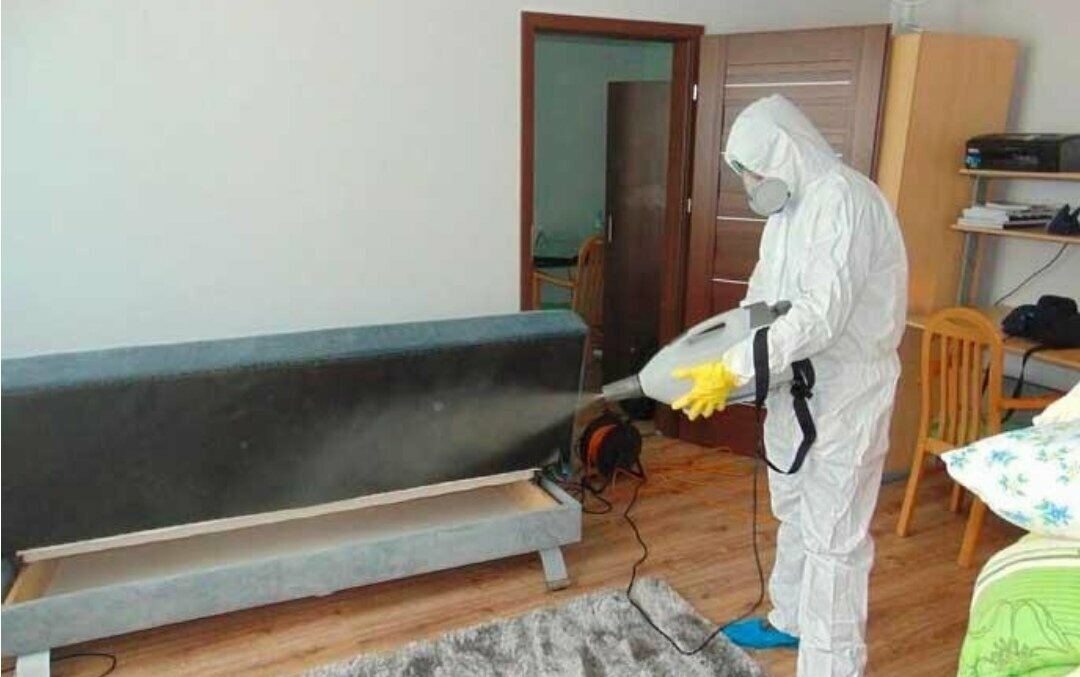 ФОТО Уничтожение блох в Колпино