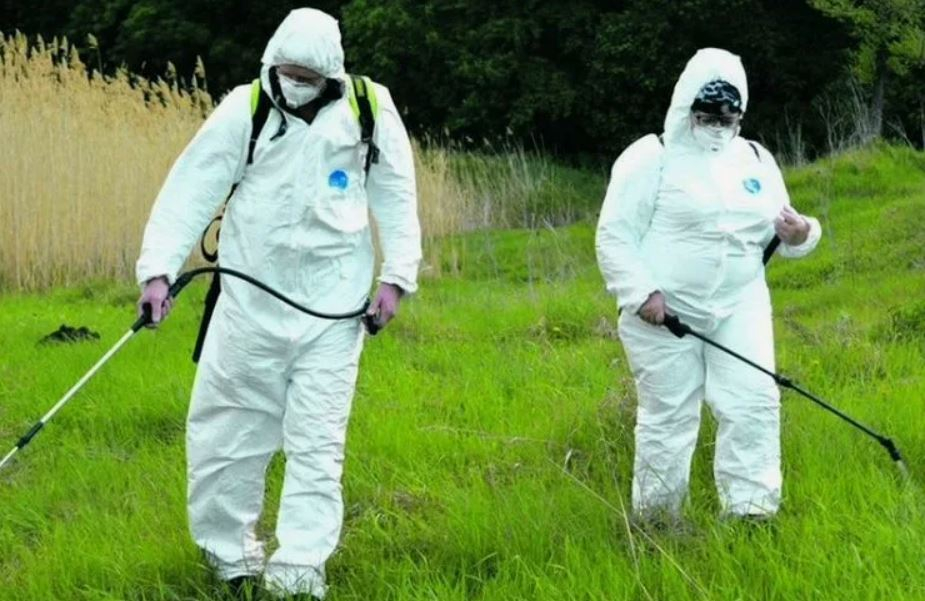 ФОТО Обработка от клещей в Колпино