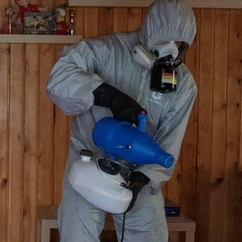 ФОТО Дезинфекция в Колпино