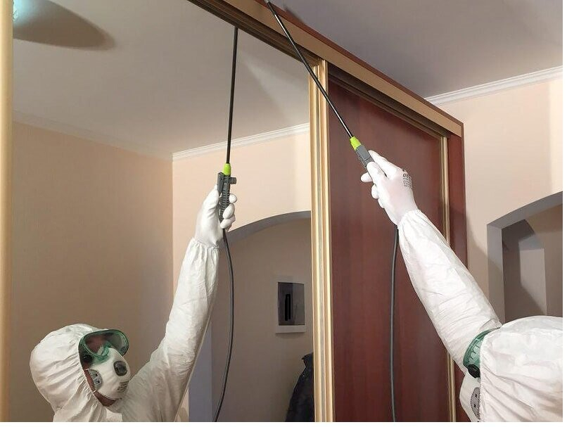 ФОТО Обработка от моли в Колпино