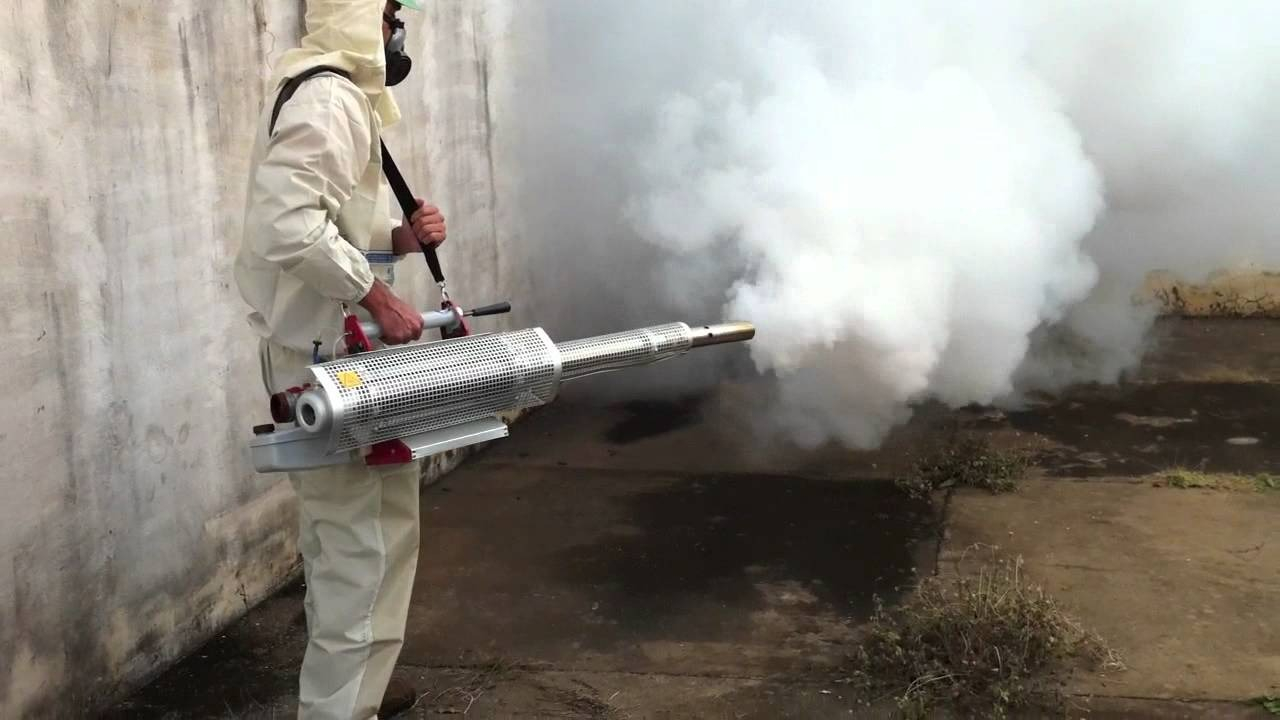 ФОТО Уничтожение мух в Колпино