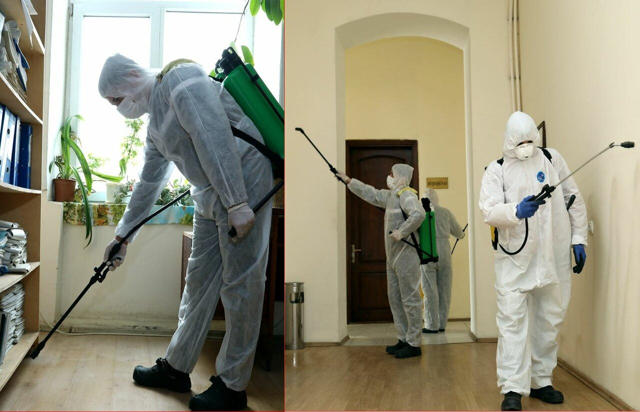 ФОТО Требуется ли лицензия для дезинсекции и дезинфекции в Колпино? | подробно