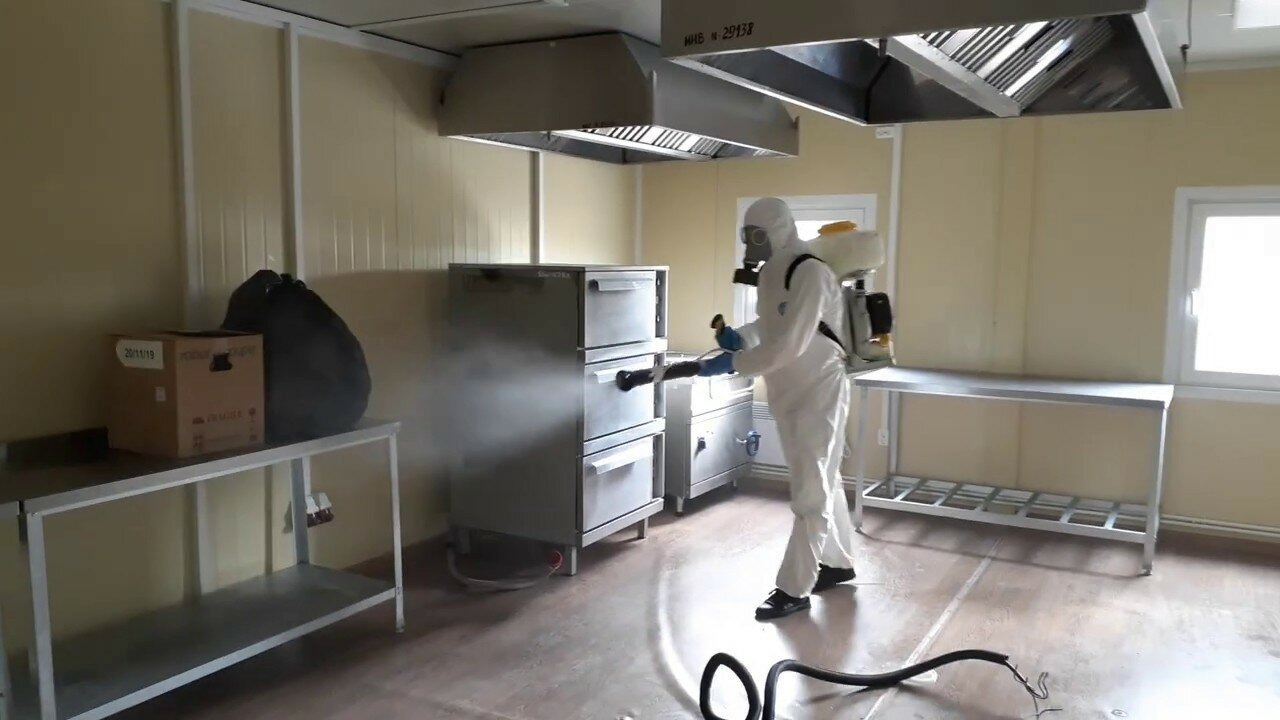 ФОТО Можно ли провести дезинсекцию самостоятельно и какие существуют риски в Колпино? | подробно