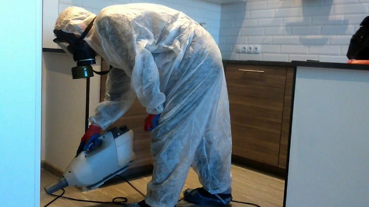 ФОТО Как подготовить домашних животных к обработке от насекомых в Колпино? | подробно