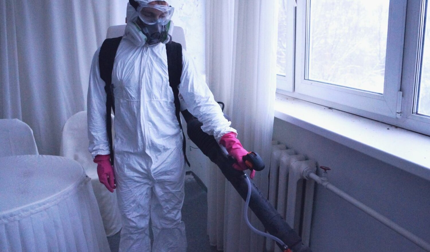 ФОТО Нужно ли выносить растения при дезинсекции в Колпино? | подробно