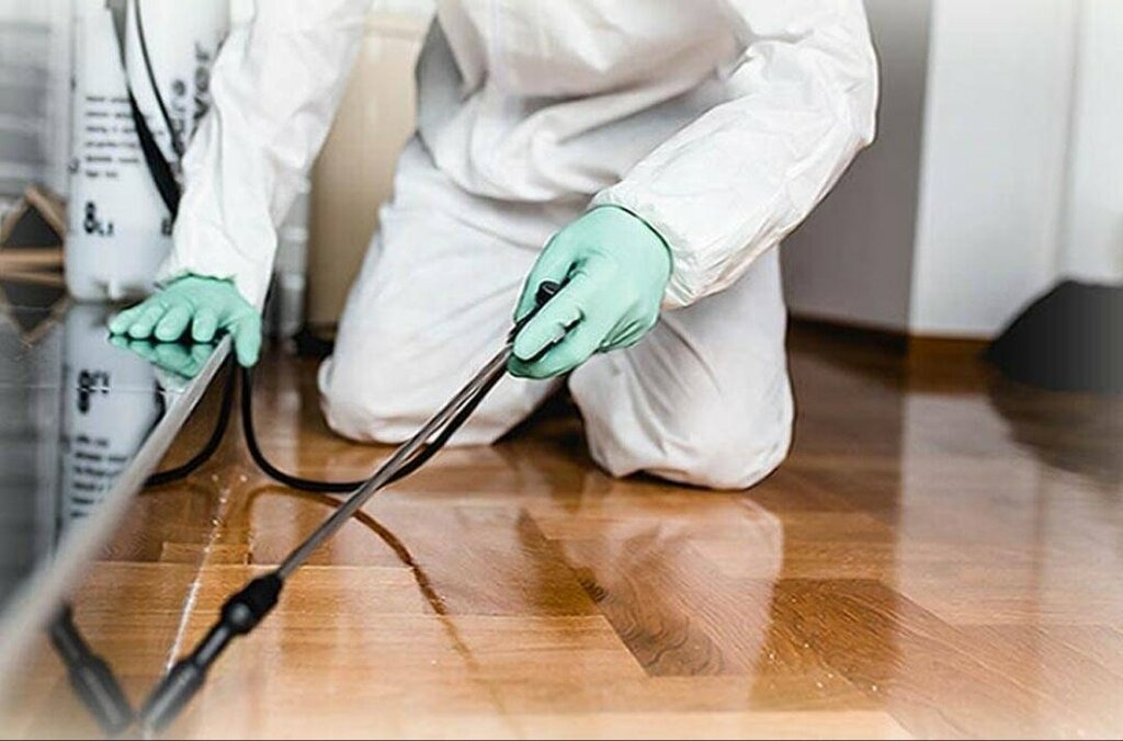 ФОТО Как подготовить вентиляцию при предстоящей дезинсекции в Колпино?