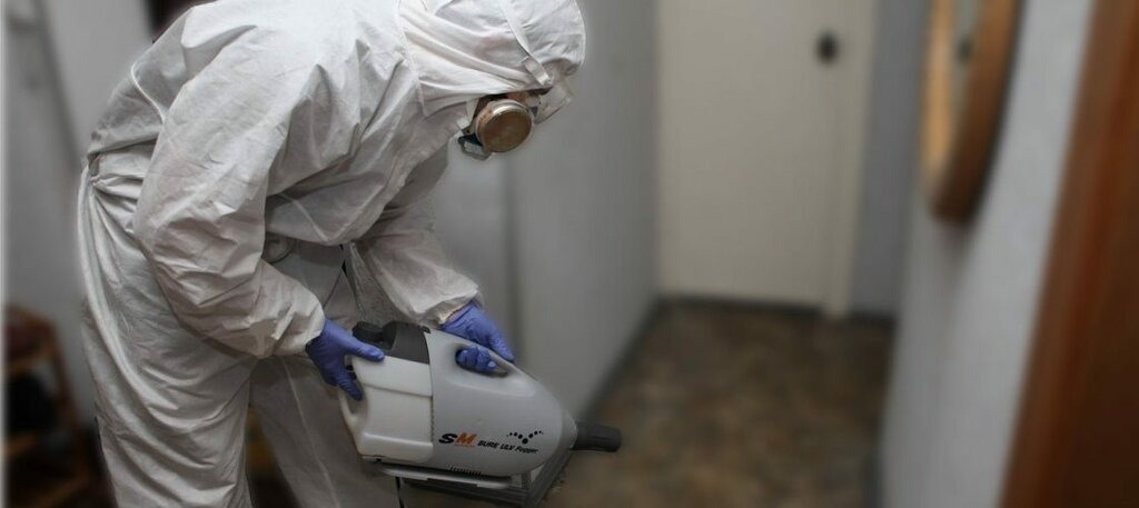 ФОТО Остаются ли следы после обработки квартиры от насекомых в Колпино? | подробно