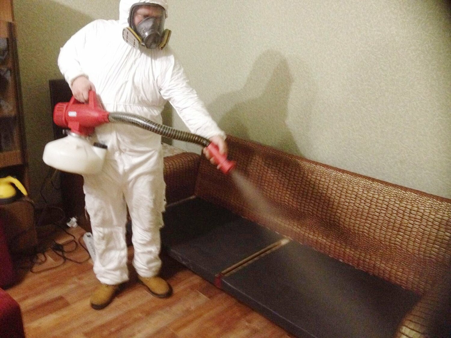 ФОТО Когда можно вернуться в помещение после дезинсекции в Колпино? | подробно