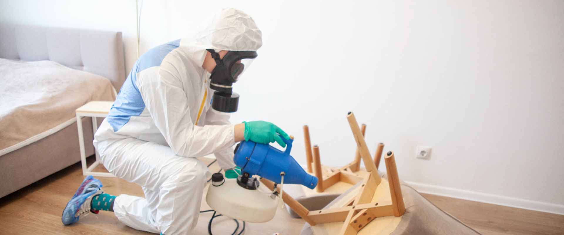 фото: Уничтожение постельных клопов с 1-го раза с гарантией за 30-60 мин. в Колпино без предоплаты