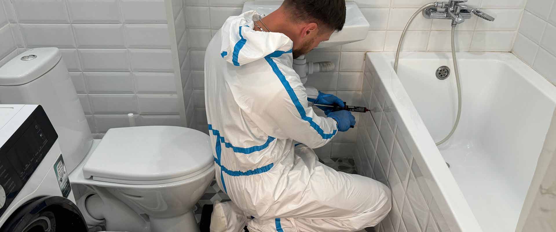 фото: Уничтожение тараканов навсегда с 1-го раза с гарантией за 30-60 мин. в Колпино