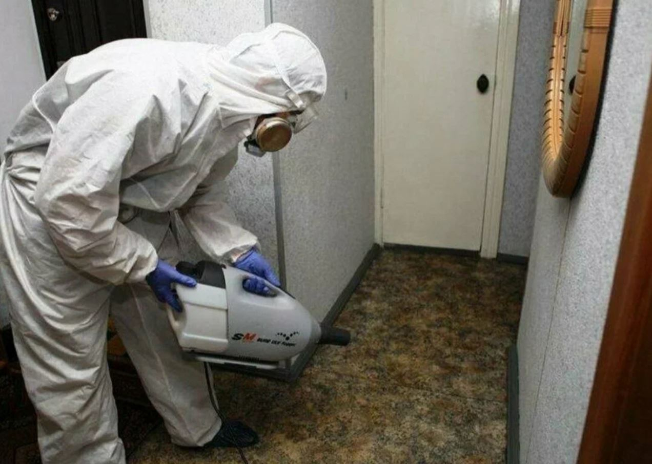 фото: Профессиональная дезинсекция в Колпино: <br/>+7-909-173-42-96